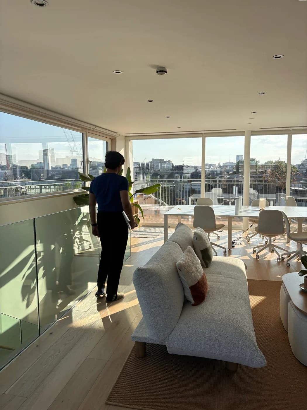 Anima colleague in the sunny team workspace